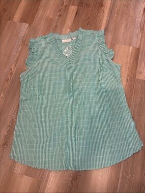 Belle by Kim Gravel Mint Green Striped Sleeveless V-Neck Blouse